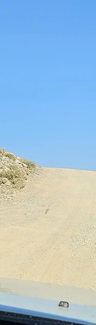 Steil und kurvenreich